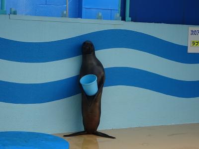 竹島水族館（蒲郡：愛知県）　2019.9.29