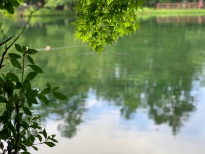 軽井沢夏旅行