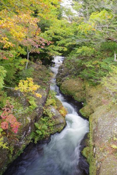 2019年10月6日　アユダプジャー休暇　日光旅行　奥日光滝巡り編