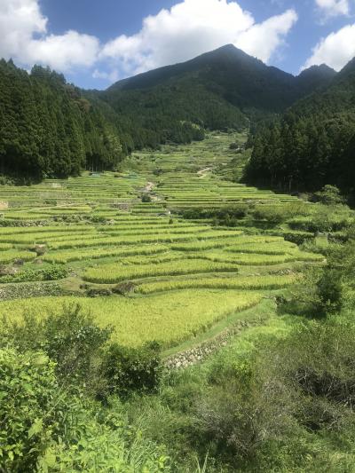 初 浜松女子旅2019