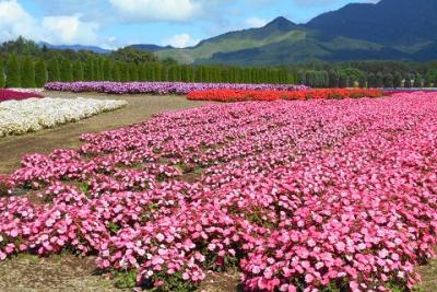 花の都公園～～♪