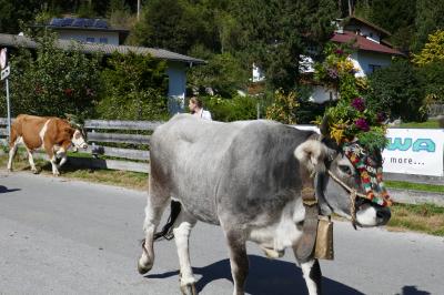 2019年ドイツ＆オーストリアハイキングー１０　Fulpmesu＆Neustift で牛追い祭り＼(^_^)／　ムッターベルグでビール