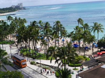 30年ぶりのハワイ・相棒は娘⑶最終日帰国編