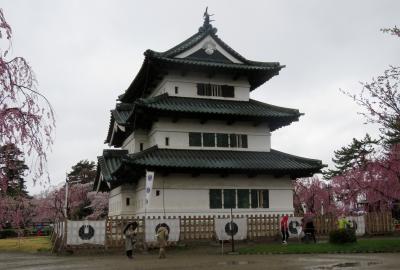 2018春、東北北部の名城(9/28)：4月25日(4)：弘前城(1)：現存天守、雨の染井吉野