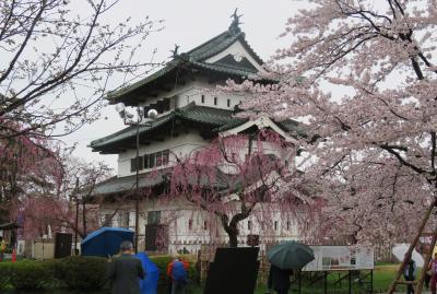 2018春、東北北部の名城(10/28)：4月25日(5)：弘前城(2)：現存天守、櫓跡、染井吉野