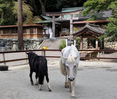 【秋の吉野路】梨と御神馬　原付２種ツーリング