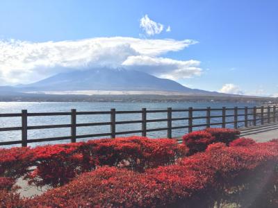 山中湖＆忍野_Lake Yamanaka & Oshino　芸術と信仰の舞台！霊峰富士をとりまく湖と湧水