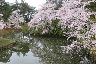 2018春、東北北部の名城(13/28)：4月25日(8)：弘前城(5)：二の丸南門、弘前城植物園