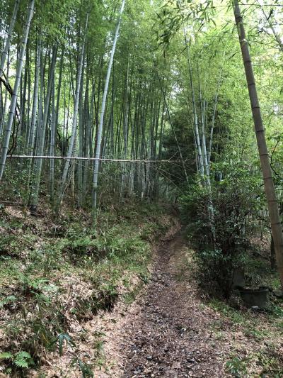 あまり人気のない山の辺の道　北コース