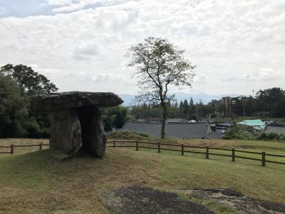 世界遺産　高敝（コチャン）郡の支石墓群を見に行く