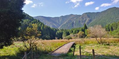 朝霧高原から田貫湖へハイキング