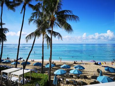 運気アップして諦めず目的達成、