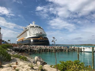 【WDW&DCL&NY】ディズニー＆クルーズ11泊13日★（Castaway Cay)