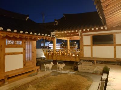 慶州・釜山2泊3日①