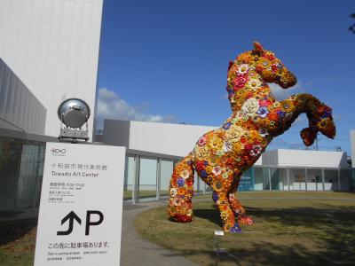 三陸海岸と八甲田・八幡平の紅葉を訪ねて　その2　北リアスと十和田市観光