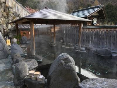 【秘湯】桜田温泉　山芳園②