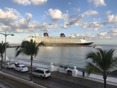 【WDW&DCL&NY】ディズニー＆クルーズ11泊13日★（Disney Fantasy)