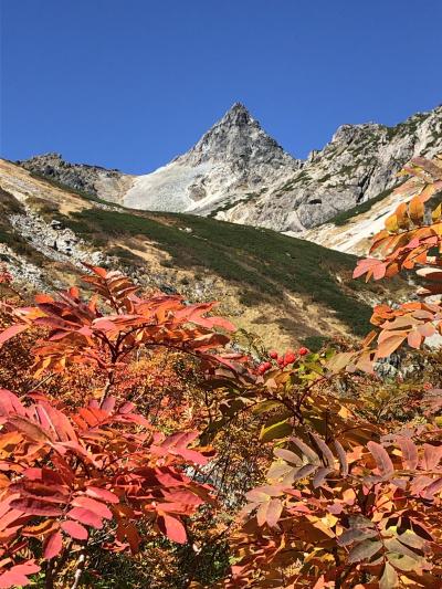 氷河公園の天狗池へ登山　その２.槍沢ロッジから天狗原分岐まで　2019年10月