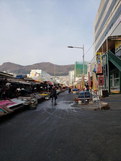 慶州・釜山2泊3日の旅②