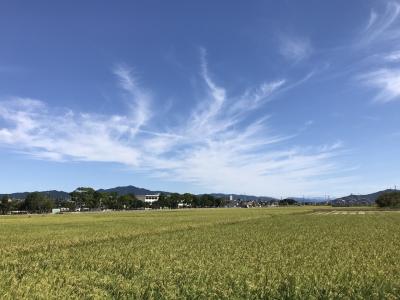 豊川と豊橋、土休日豊橋往復切符で歴史ウォーキング①：豊川編