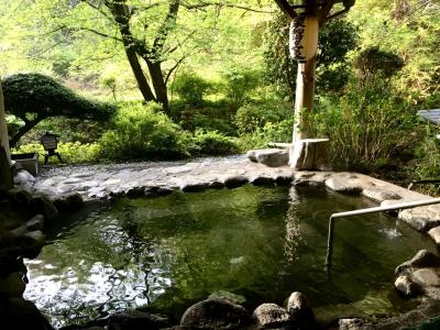 【秘湯】川中温泉　かど半旅館