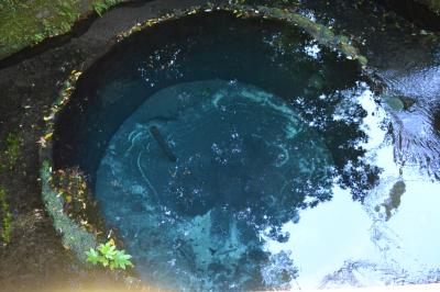 憧れの富士山 お目にかかれて光栄です その参