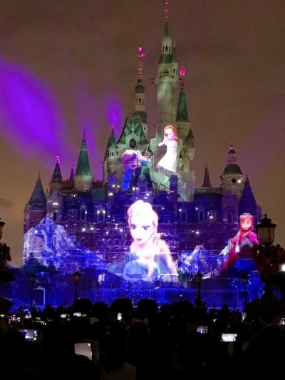 上海 家族旅行 に関する旅行記 ブログ フォートラベル 中国 Shanghai