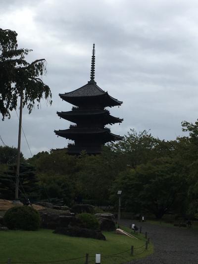 京都、寺周りジョク観光