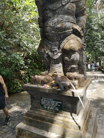 バリ島旅行記　　その４（バリ最終日、モンキーフォレストでびっくり）