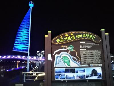 192回目訪韓は金烏山、宝鏡寺、大典寺＆周王山へ(2019/10/19土～22火)⑪/⑫SRTで東大邱→釜山へ