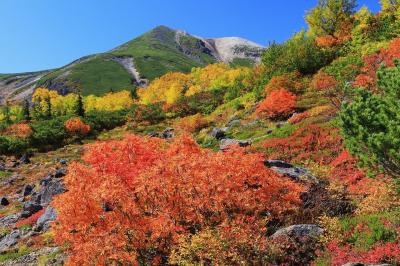 乗鞍岳の紅葉ピーク！ 2019は当たり年？