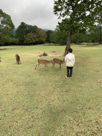 奈良市 子連れ旅行 に関する旅行記 ブログ フォートラベル 奈良県 奈良市 子連れ旅行 に関する旅行記 ブログ フォートラベル 奈良県