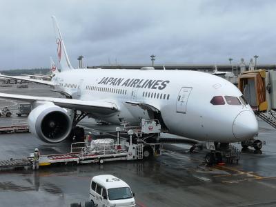 いまさら...JAL JGC インド発券で修行♪ ビジネスクラス搭乗記 JL Japan airlines