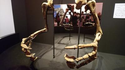 国立科学博物館　恐竜博2019