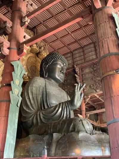 奈良県 子連れ旅行 に関する旅行記 ブログ フォートラベル