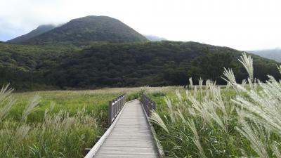 伐株山～タデ原