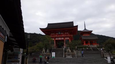 【京都　一人旅】0泊3日の弾丸開運ツアー！神社仏閣めぐり①