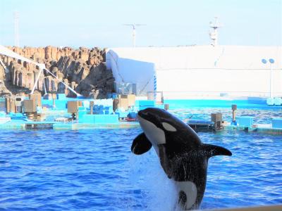 2019年10月 名古屋港水族館でプチ寄り道旅