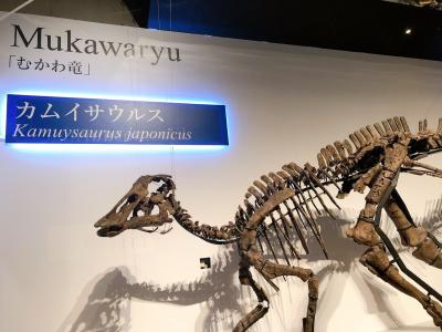小学生男子のロマン炸裂！恐竜展を見に東京へ