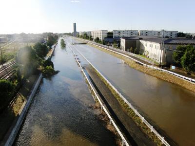 台風19号関東地方通過後の早朝散歩で被害状況を確認しながら歩く