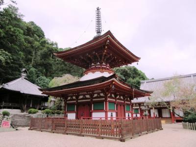 天野山金剛寺と槇尾山施福寺をめぐる