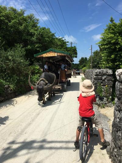 夏旅４　赤瓦屋根の竹富島をサイクリング！米原海岸でシュノーケリングも