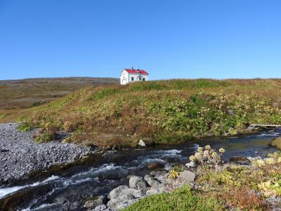 アイスランド ウェストフィヨルド ドライブ旅行2019/9 ⑥ホルンストランディル自然保護区へ