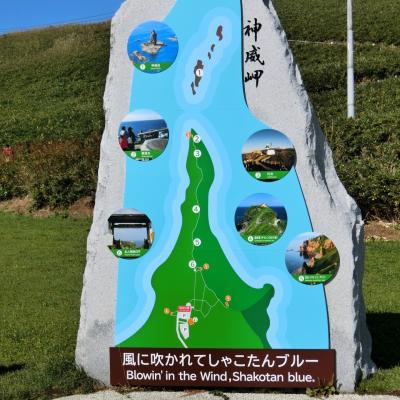 風に吹かれてしゃこたんブルー　 神威岬