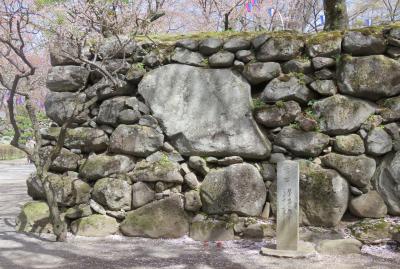 2018春、長野の百名城(6/25)：4月16日(6)：小諸城(6)：野面積の高石垣、鏡石