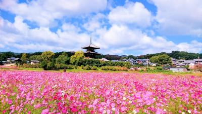 秋の法隆寺を散策