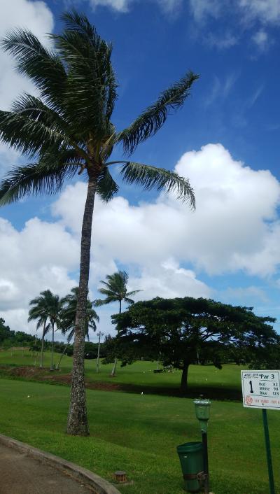ハワイでゴルフ２（ベイビューゴルフコース）