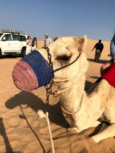 弾丸ドバイ！１泊４日★③（街観光編）