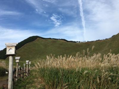 ちょこっと曽爾高原