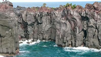 台風のあとですが、伊豆を訪ねてきました
